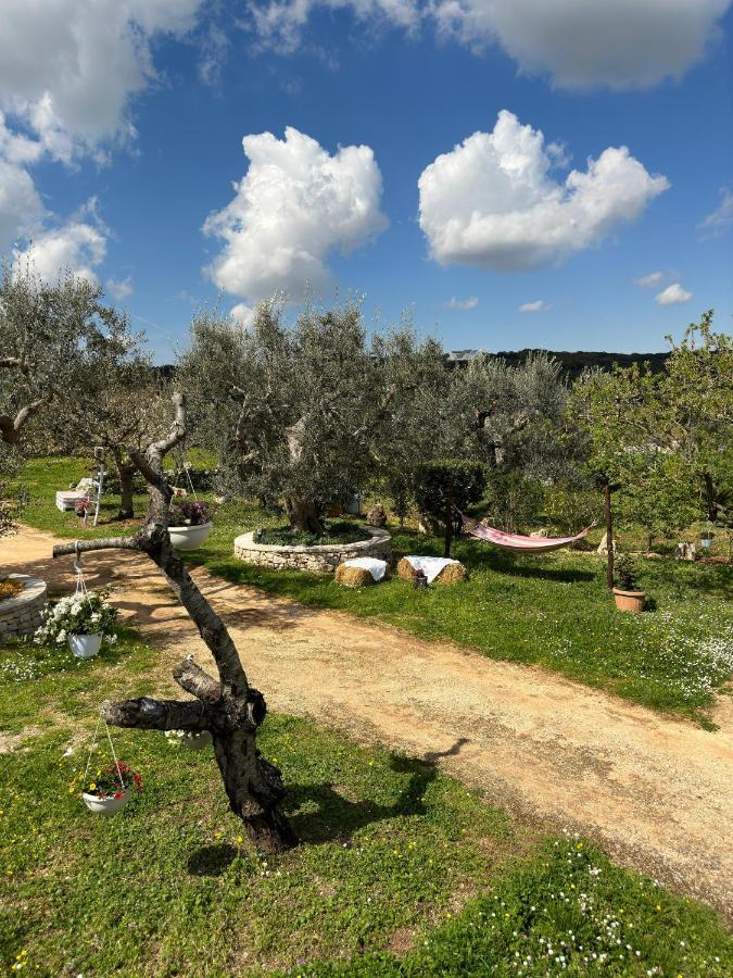 Trulli Barsento Vendégház Alberobello Kültér fotó